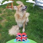 John Dunsmore - @johndunsmore_wearethepeople - Instagram