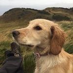 John Dunsmore - @dunsmorejohn - Instagram