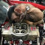 John du Plessis - @john.duplessis.9638 - Instagram