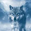 johnduplessis9737 - @johnduplessis9737 - TikTok