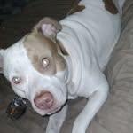 John Durden - @john.durden.731 - Instagram