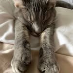 John David Durfee - @johndaviddurfee - Instagram