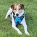 John Durrant - Facebook