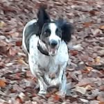 John Durrant - @johndurrant61 - Instagram