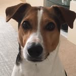 John Durrant - @john.durrant.370 - Instagram
