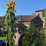 John Dury - @john_dury - Instagram