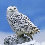 John Dury - @dury.14 - Instagram