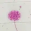 johndury1811 - @johndury1811 - TikTok