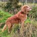 John Duthie - Facebook