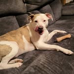 John dutkanych - @dutkanychjohn - Instagram