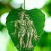 Jon Dutta - Facebook