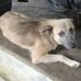 John Dwight Salgo - Facebook