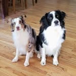 John Dyal - @movingatarget - Instagram