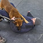 John Dyer - @kepa_kennels_usa - Instagram