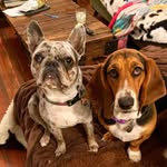 John Dyer - @liz_taylor_and_tank - Instagram