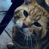 john_eagle - @john_eagle71 - TikTok