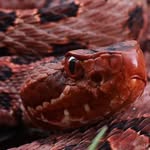 John Eagleton - @johnwe3 - Instagram