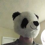 John Earnhardt - @johnearnhardt3388 - Instagram
