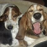 John David Earnshaw - @john.d.earnshaw - Instagram