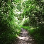 John_Easley_Photography - @john_easley_photography - Instagram
