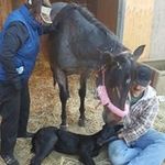 John Eastburn - @eastburn.john - Instagram
