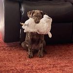 John Ebanks - @enotu68 - Instagram