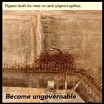 John Echelbarger - @axiom457 - Instagram