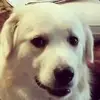 johneckelberry - @johneckelberry - TikTok