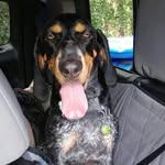 John Ecklund - @johngecklund - Instagram