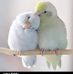 John Eddy - Facebook