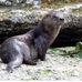 John Edgecomb - Facebook