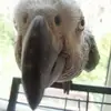 johnedinburgh121 - @johnedinburgh121 - TikTok