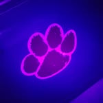 John Effler - @efflerjohn - Instagram