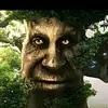 John Ehrhart - @johnehrhart6278 - TikTok