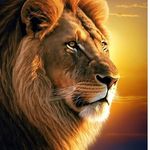 John Eichenberger - @john.eichenberger - Instagram