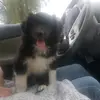 JohnDeichler - @johndeichler - TikTok