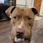 @john_eichman_varsity - Instagram