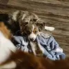 johnweichmann - @johnweichmann - TikTok