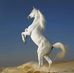 John Eid - Facebook