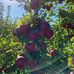 John Eidem - Facebook
