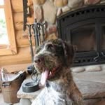 John Eidemiller - @johneidemiller - Instagram