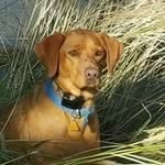 John Eifert - @eifert.john - Instagram