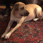 John Eifert - @john.eifert.90 - Instagram