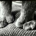 John Finlay Eifert - @finlay9 - Instagram