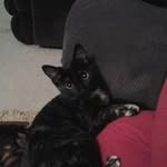 John Eiler - @johneiler541 - Instagram