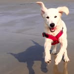 John Eilers - @john.eilers - Instagram
