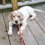 John Eilertsen - @john.eilertsen.1 - Instagram