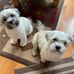John Eimer - Facebook