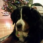 John Eisenhauer - @john.eisenhauer.507 - Instagram