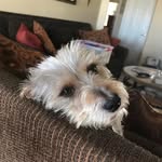 John Eismann - @eismannjohn - Instagram